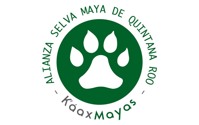 alianza selva maya