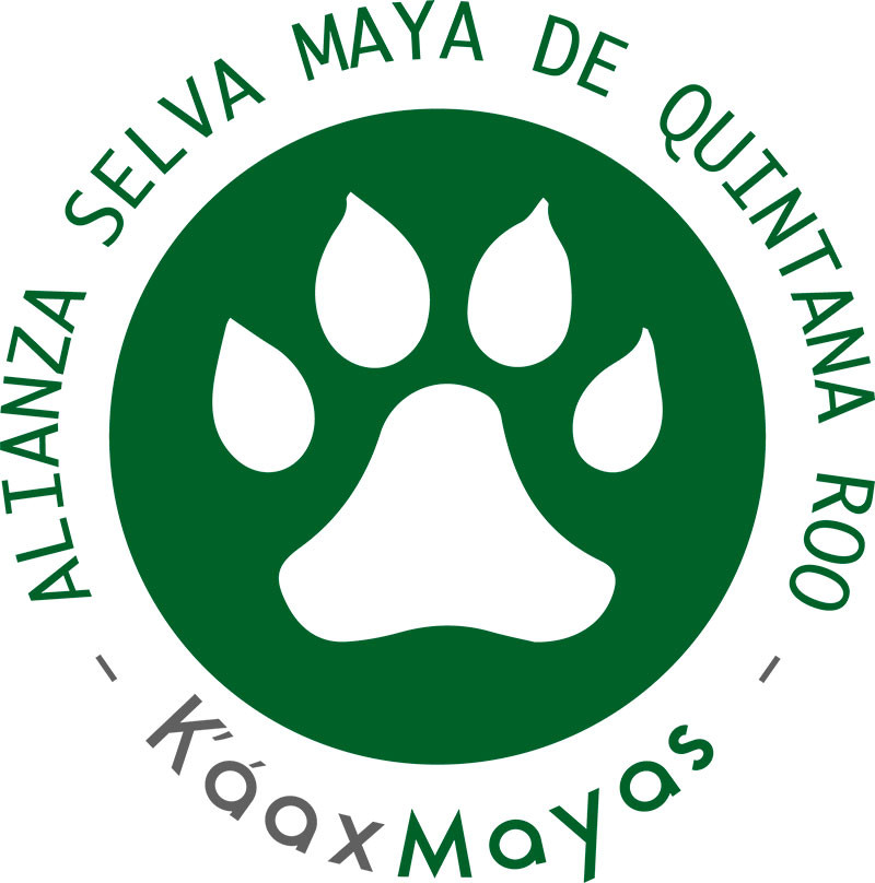 K´aax Mayas