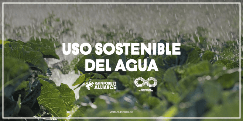 Tipos de riego de uso sostenible del agua