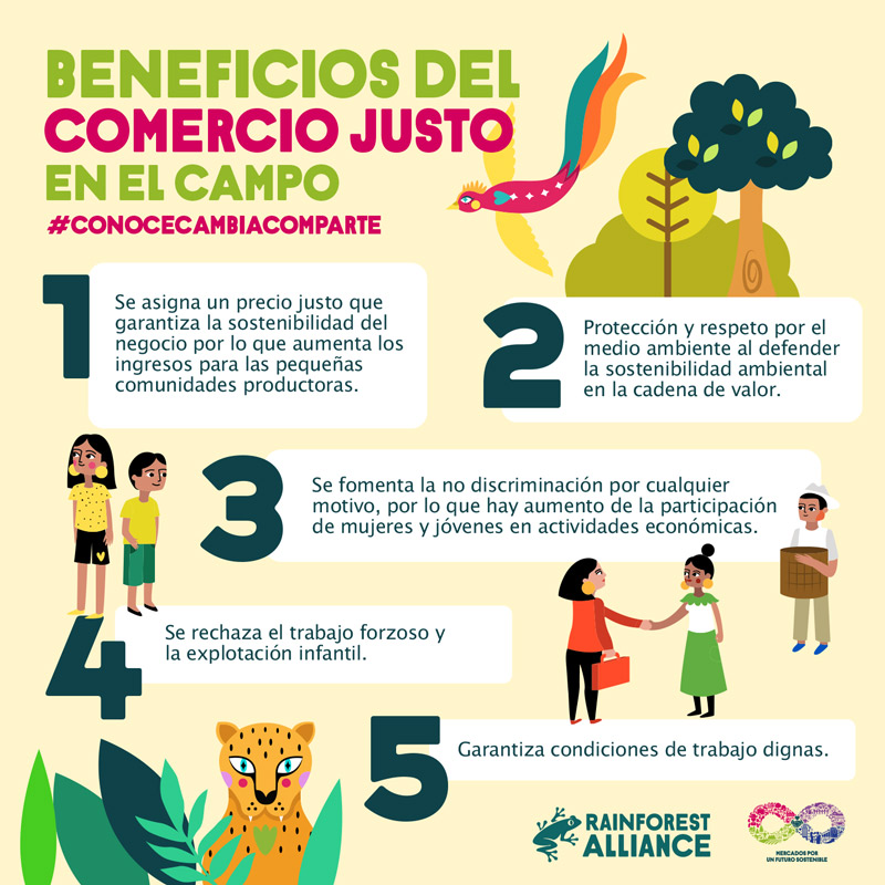  Comercio Justo en México