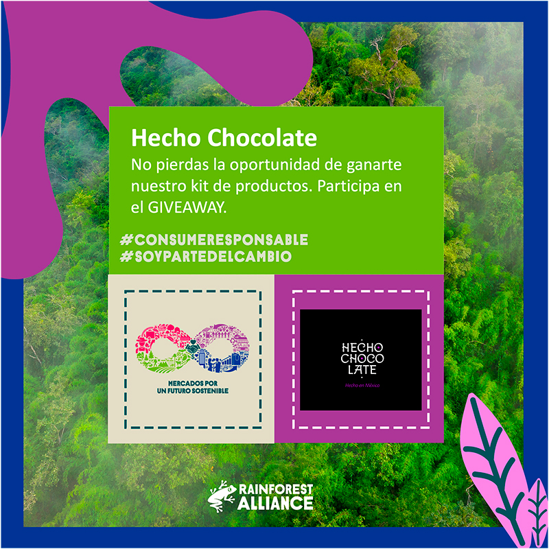 Promoción Hecho Chocolate