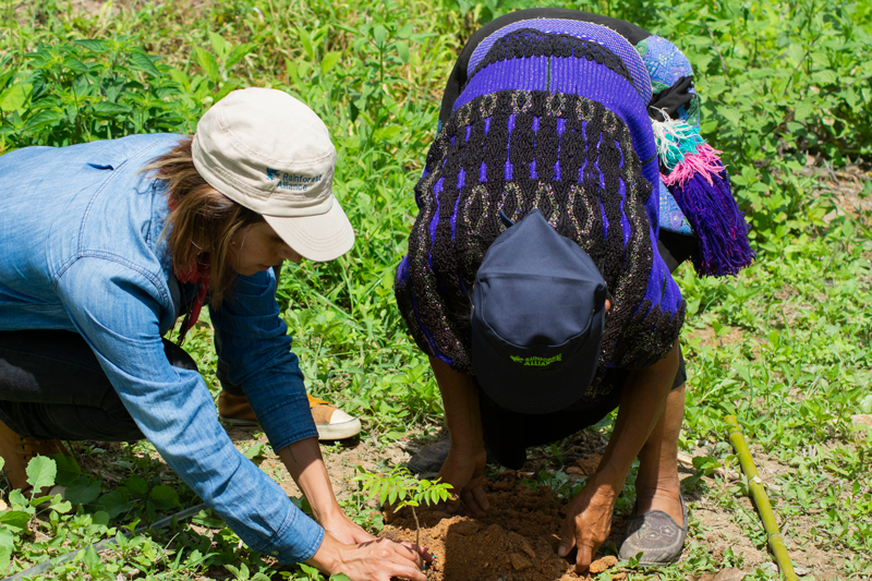 conservación ambiental