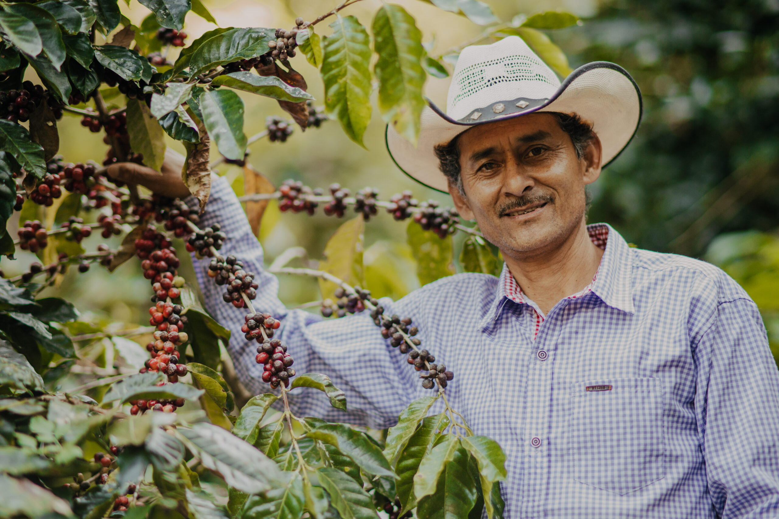 Productor de café con producción